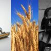 Newsletter # 39